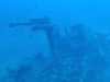 IMG-20230917-WA0141