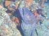 IMG-20230917-WA0152