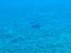 IMG-20230917-WA0158