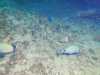 IMG-20230917-WA0190
