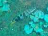 IMG-20230917-WA0221