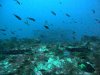 DCIM\100GOPRO\GOPR1303.JPG
