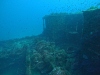 DCIM\100GOPRO\GOPR1307.JPG
