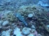 DCIM100GOPROGOPR0659.JPG