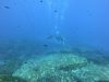 DCIM100GOPROGOPR0639.JPG