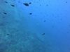 DCIM\100GOPRO\GOPR0624.JPG