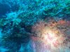 DCIM\100GOPRO\GOPR1065.JPG