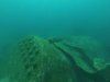 DCIM\100GOPRO\GOPR1113.JPG