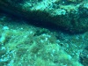 DCIM\100GOPRO\GOPR1172.JPG