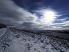 IMG_20240121_114915