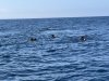 IMG_1580
